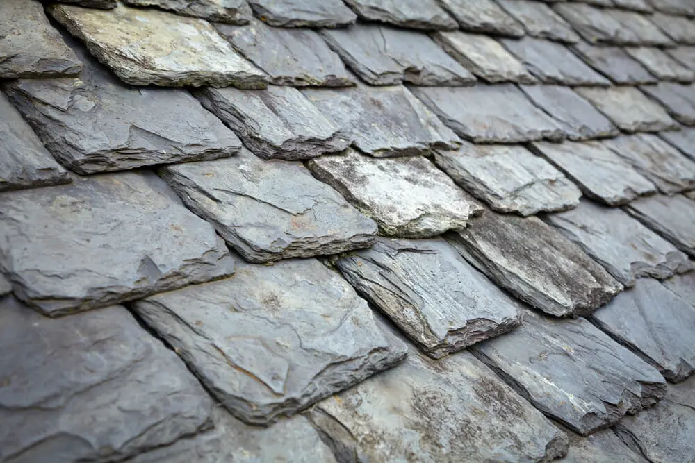 Slate roof tiles in close-up view.
